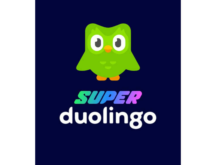 Dulingo Super 1 Year