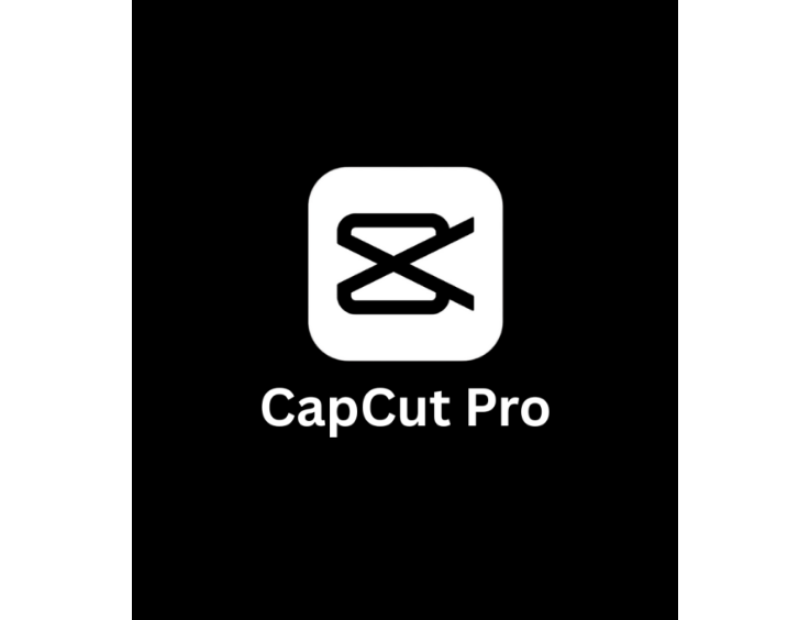 CapCut Pro1 Year